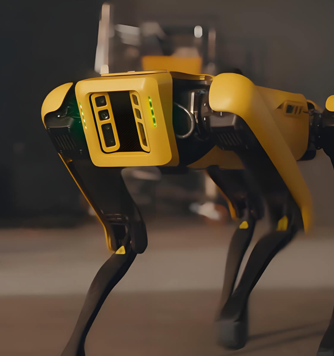 9888拉斯维加斯官方网站_首页